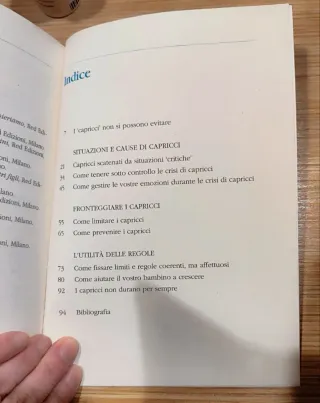 I bambini non fanno mai i capricci