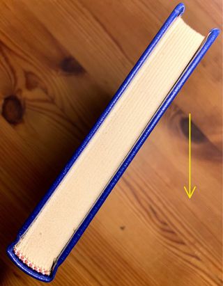 Libro: “LLUVIAS PRIMAVERALES/ UN SUEÑO”