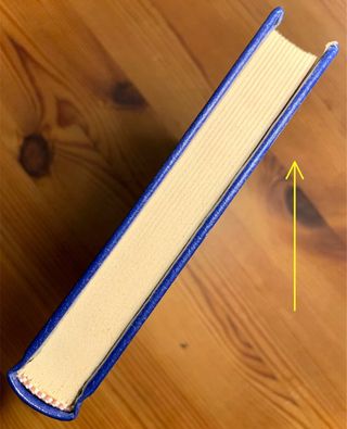 Libro: “LLUVIAS PRIMAVERALES/ UN SUEÑO”