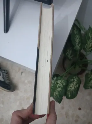 Libro no sin mi hija