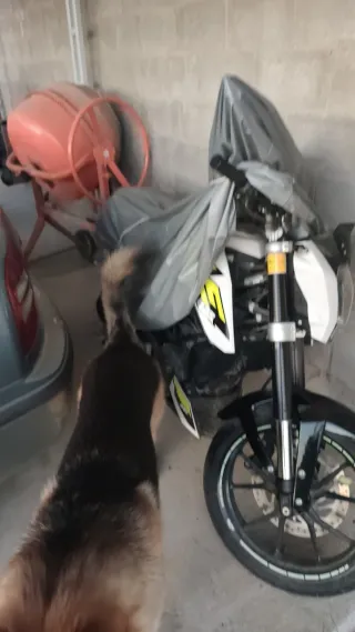 KTM Duke 125 Negra y Blanca