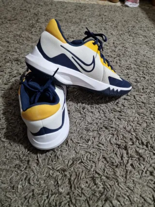 Zapatillas Nike Azul y Blanco