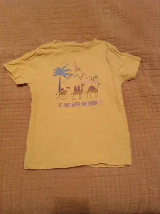 Lote 2 Camisetas Talla 7 Años (122cm)