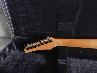 Jaden Rose 7 Cordas S2 UK Builder