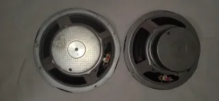 Woofers 8" 20 cm 60W (2 unidades)