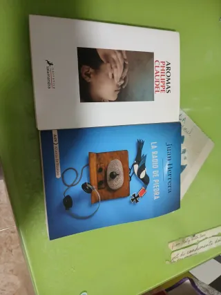 La radio de piedra (AdN)