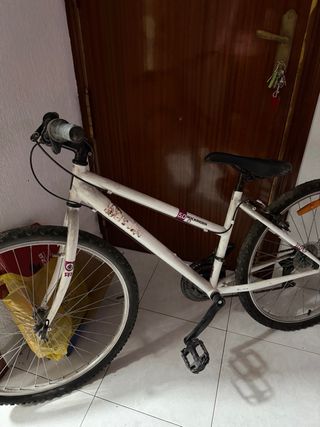 Bicicleta blanca