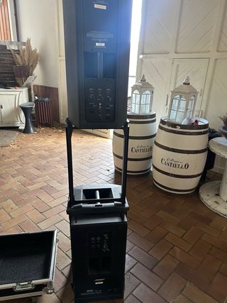 Sistema Bose F1 + Flightcase Subgraves