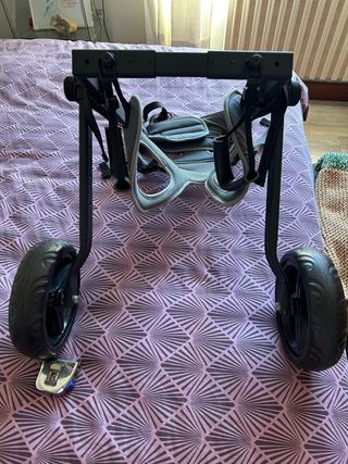 Silla de ruedas para perro mediano
