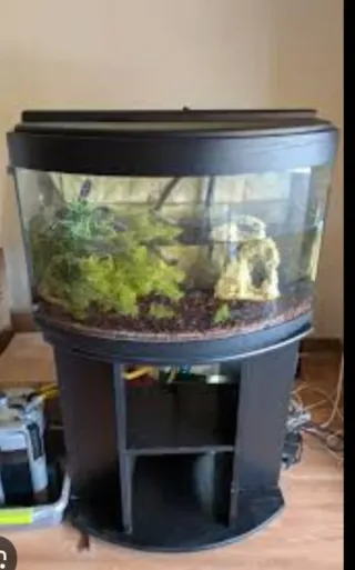 Aquário de vidro com móvel preto
