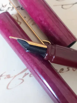 Pluma Estilográfica Waterman Centurión