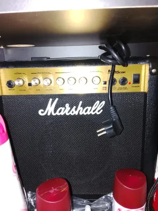 Guitarra Eléctrica y amplificador