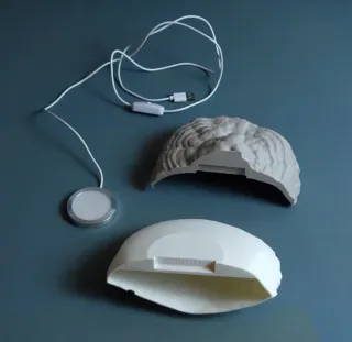 Lámpara hongo yesquero "Fomes Fomentarius"