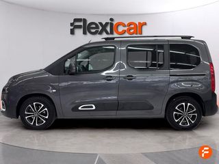 Citroën Berlingo Talla XL BlueHDi 100 SHINE