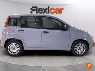 Fiat Panda Panda Hybrid 1.0 Gse 51kw (70CV)