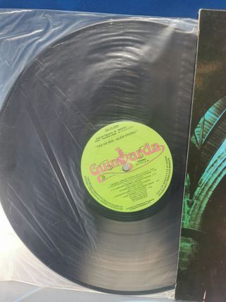 Disco, LP, vinilo, Alan Stivell – (Hacia La Isla), 1977, spain