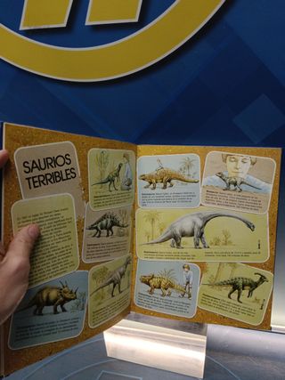 Libro, JUEGO Y ME DIVIERTO MAS DE 40 PASATIEMPOS ,EVEREST ,1983