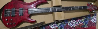 Bajo LTD ESP Activo