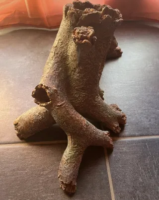 Tronco Cavo Acquario/Terrario