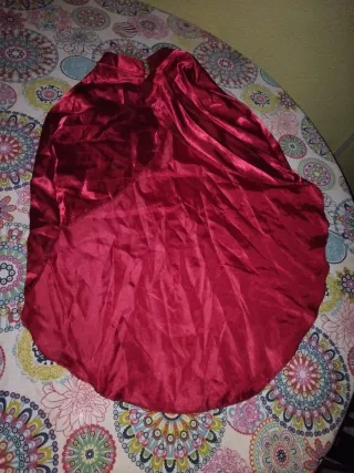 Disfraz infantil Anna(FROZEN) negro con falda azul