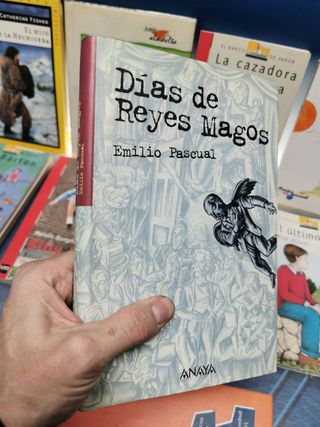 12 libros juveniles, el barco de vapor, ala delta, y mas