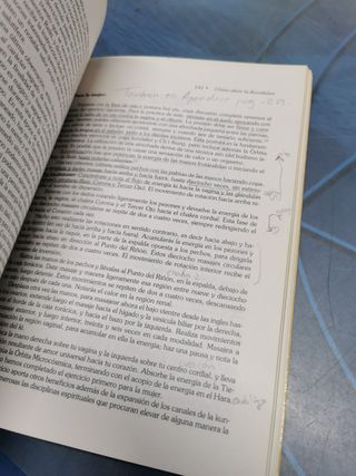 Libro, REIKI ESENCIAL (DIANE STEIN) ed. ROBIN BOOK