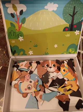 Juego Magnético Animales Mundo Diver