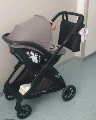 Inglesina Grupo 0 Silla de Coche