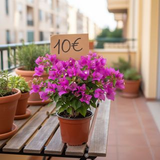 Planta trepadora colgante flor en maceta