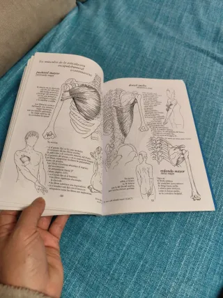 Anatomia Para El Movimiento I (Spanish Edition)