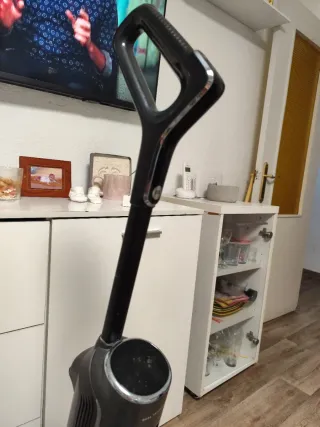 Aspiradora Rowenta X-Clean 4