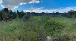 Alquilo ultima parcela Campo para cultivo