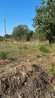 Alquilo ultima parcela Campo para cultivo