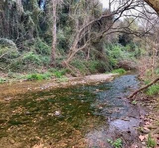 Alquilo ultima parcela Campo para cultivo