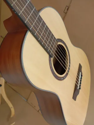 Guitarra Acústica Parlour Egmond 52 , Impresionant