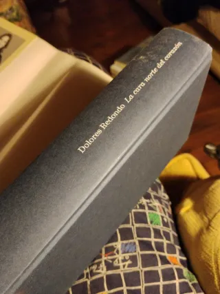 DOLORES REDONDO, La cara norte del corazón