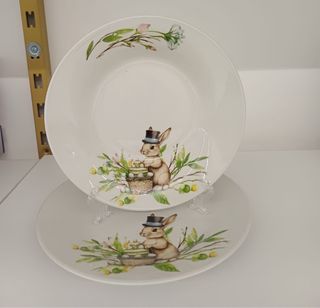 Set 12 Piatti Porcellana Pasquale