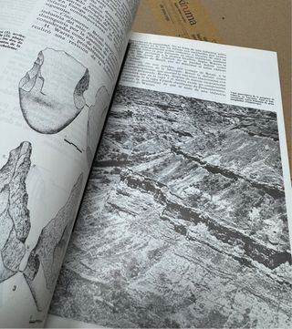 Manual de Historia Universal - Prehistoria