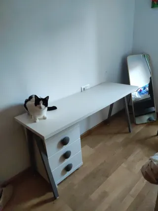 Escritorio blanco con cajonera gris