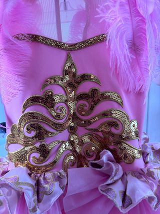 Disfraz niña rosa 5/6 años