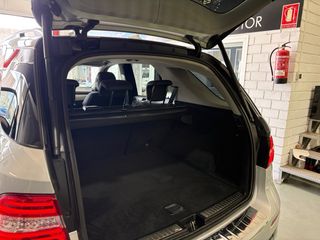 Mercedes-Benz Clase M 250 bluetec