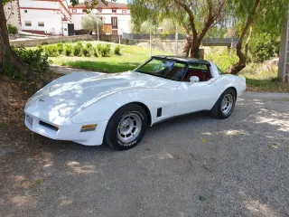 Chevrolet Corvette 1981