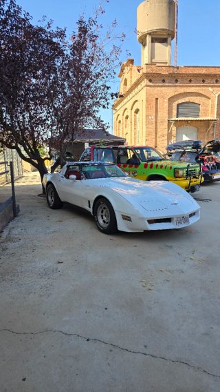 Chevrolet Corvette C3 1981