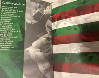 Luz Casal Como la flor prometida promo