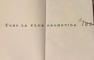 Luz Casal Como la flor prometida promo