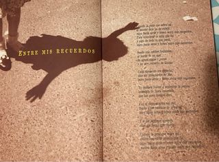 Luz Casal Como la flor prometida promo