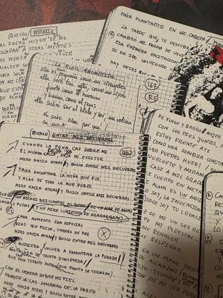 Luz Casal Como la flor prometida promo