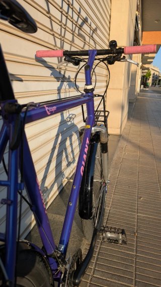 Bici Retro Giant Escaper '93 Urbana