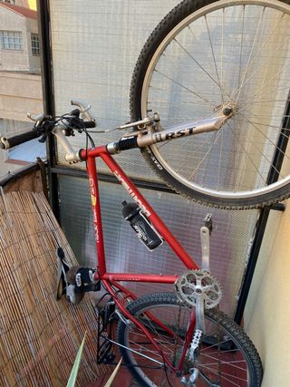 Bicicleta de Montaña