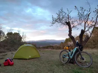 Canyon Grand Canyon 7 WMN